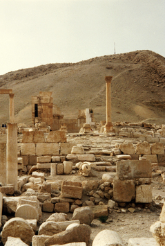 Vorschaubild Palmyra, Militärlager des Diokletian